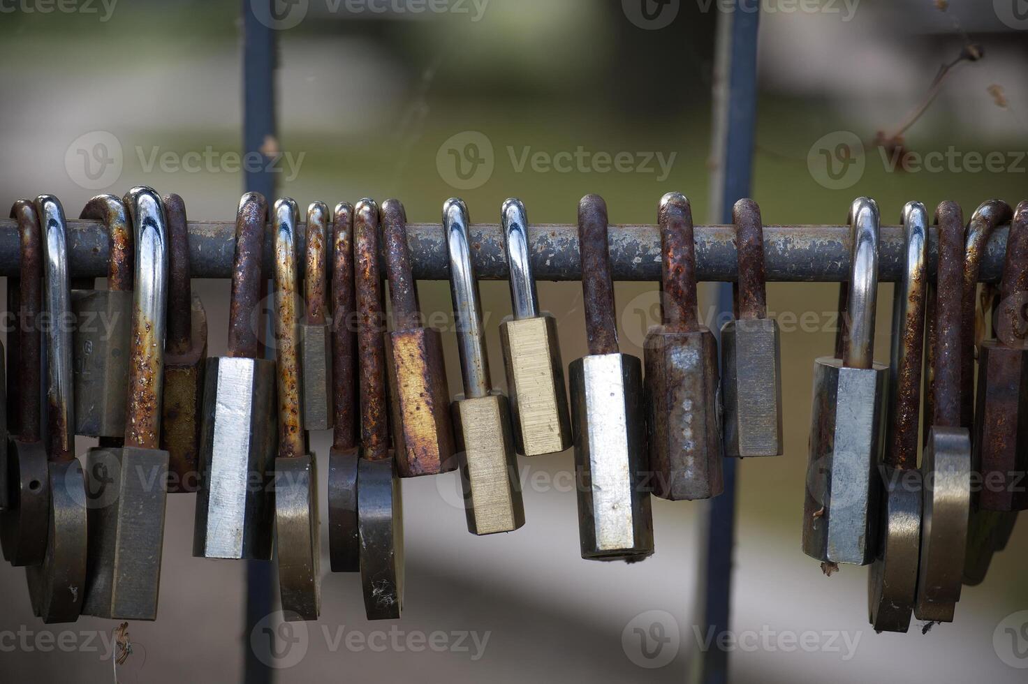 Row of rusty padlocks hanging on metal fence photo