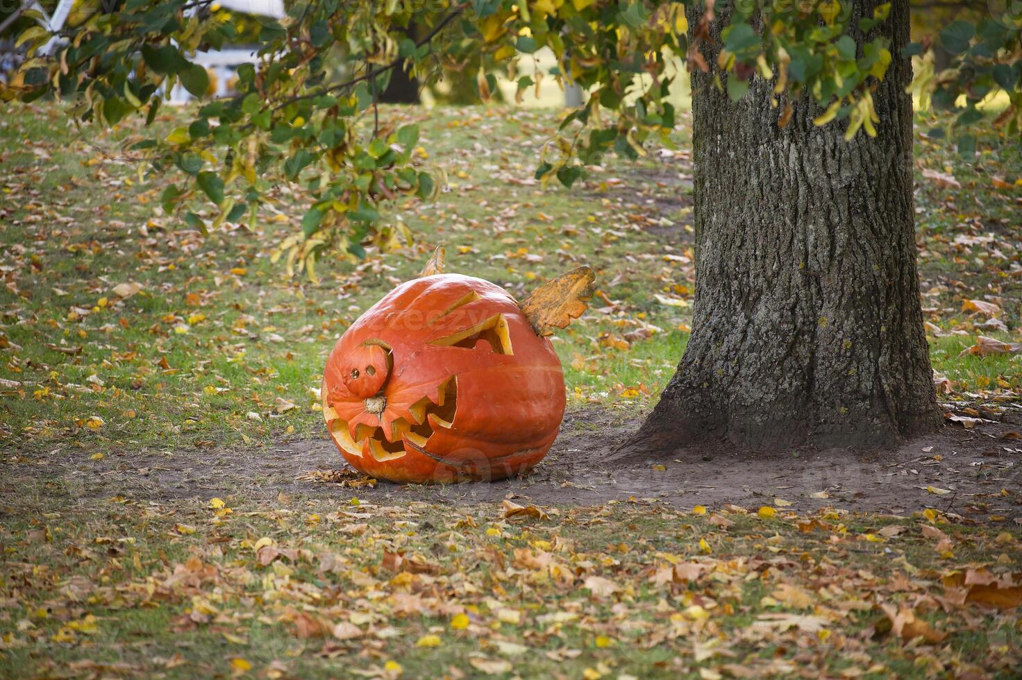Carved pumpkin resting beneath tree surrounded by fallen autumn leaves in a peaceful forest setting photo