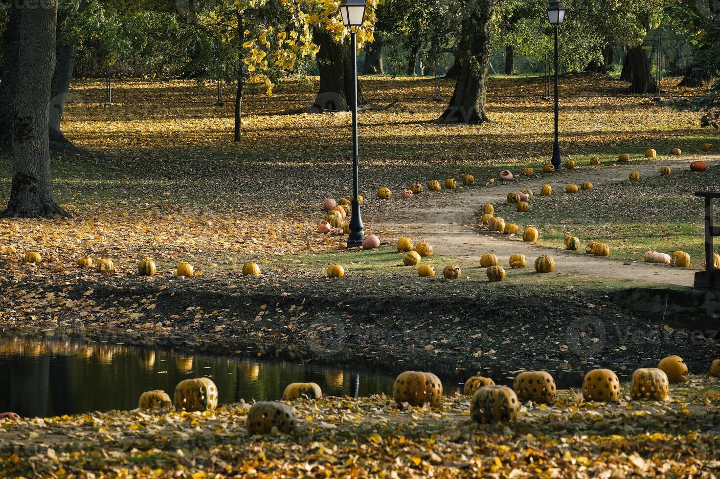 Serene park in autumn features a path lined with carved pumpkins, surrounded by golden foliage photo