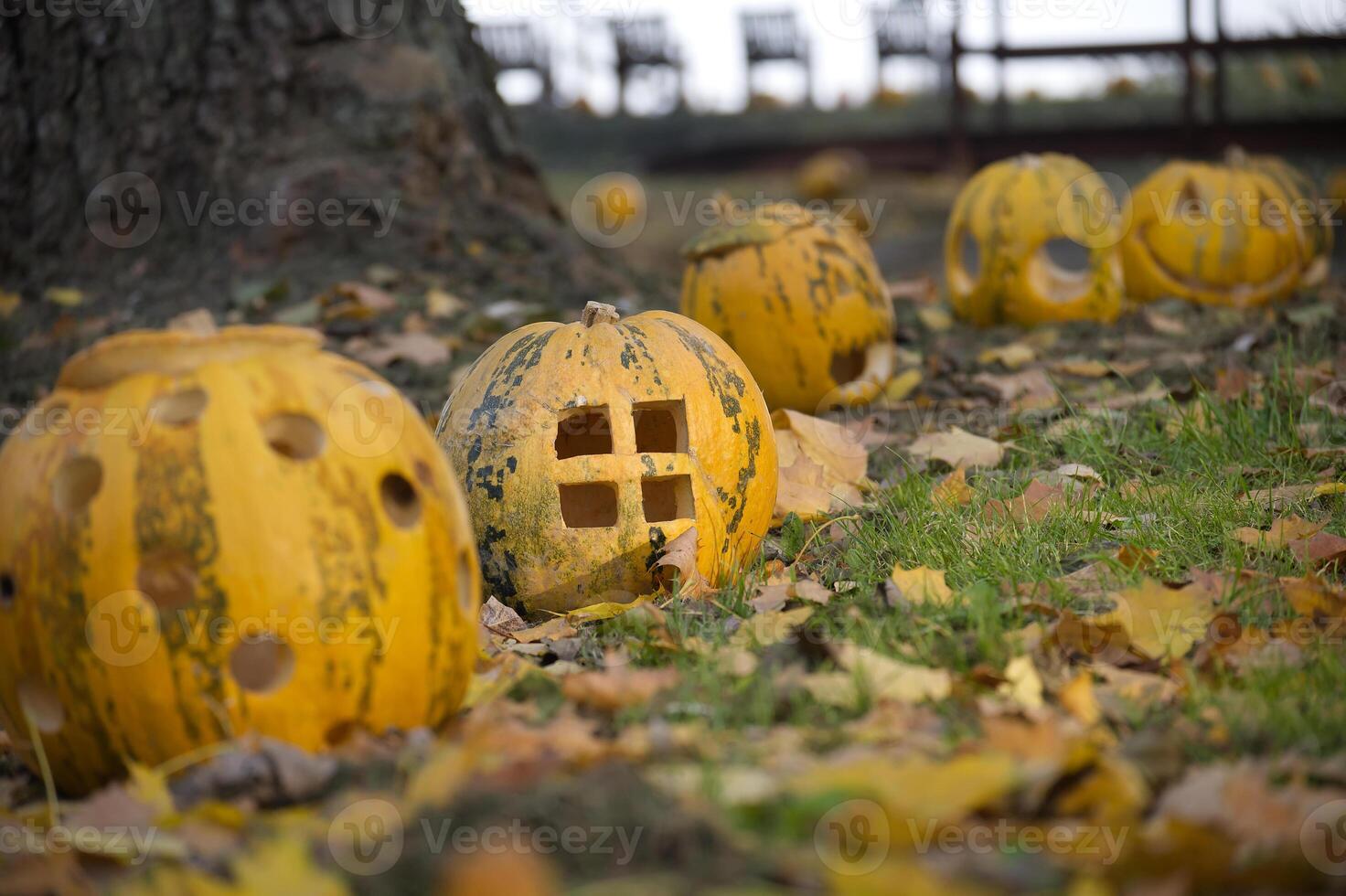 Carved pumpkins with unique designs scattered on autumn leaves create whimsical Halloween scene photo