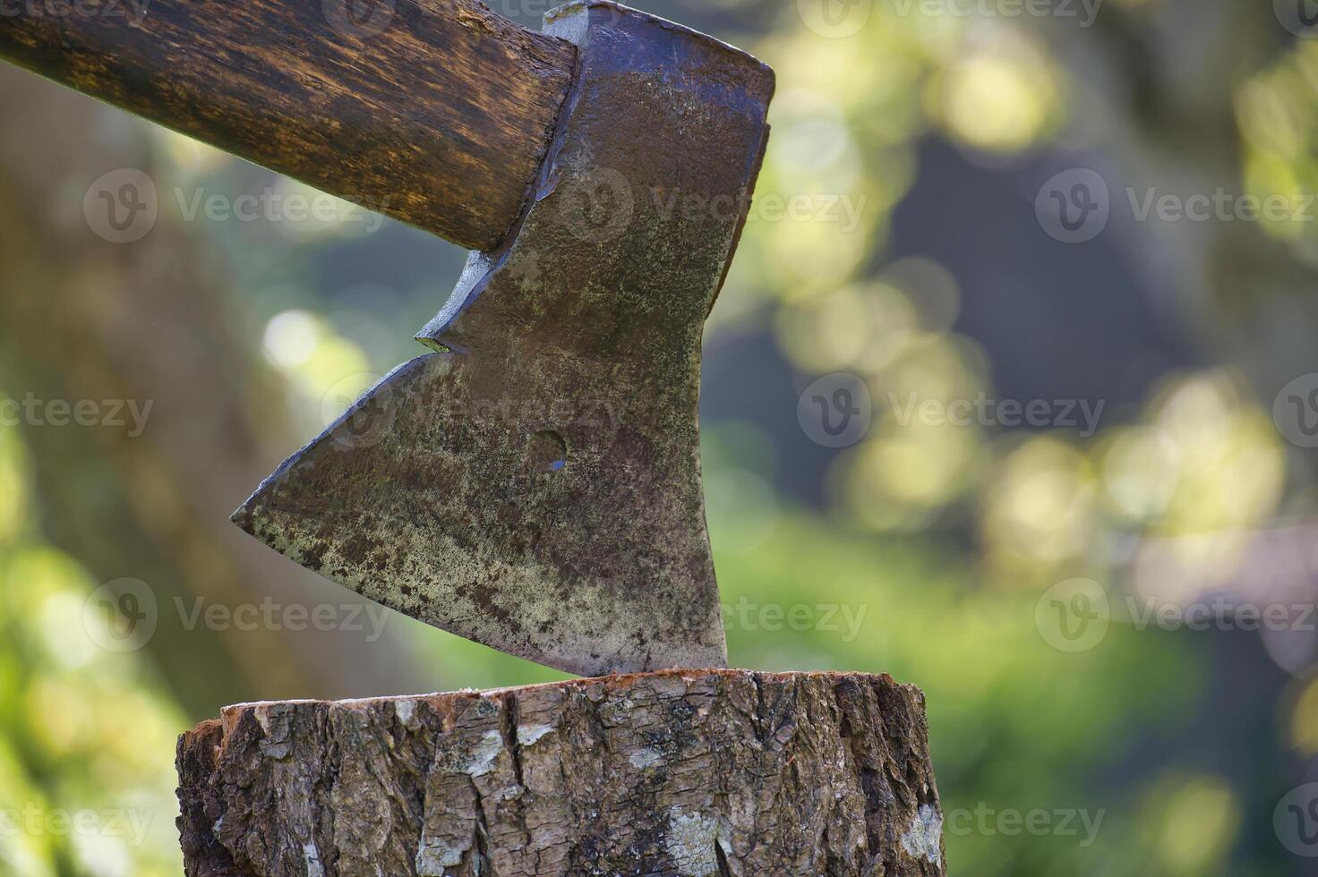 Close-up of a rustic axe embedded in a tree stump in a sunny garden photo
