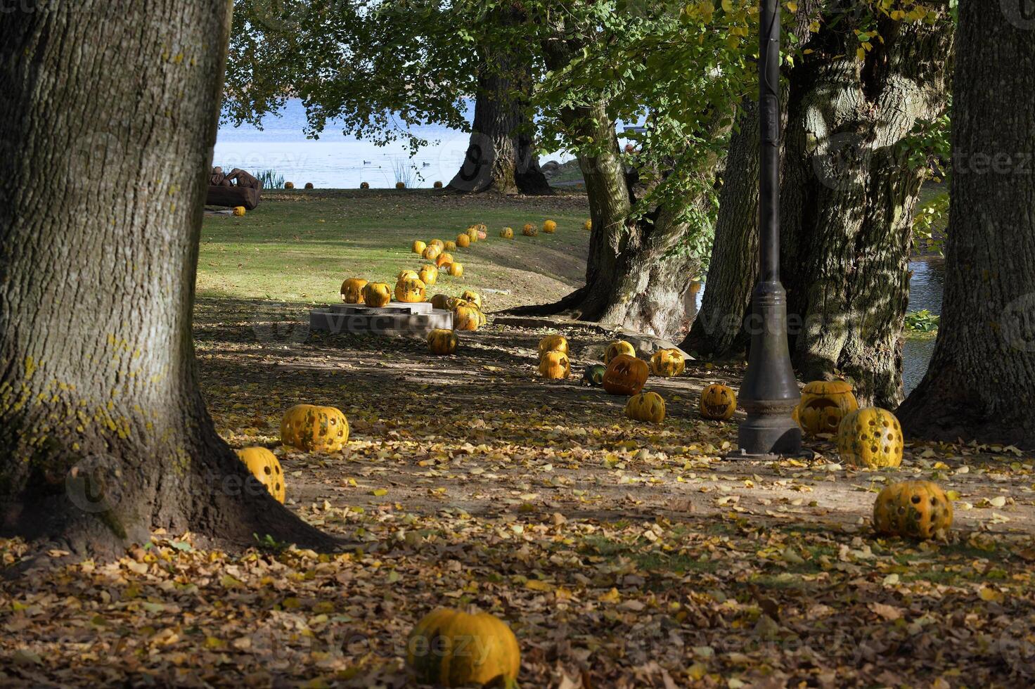 Autumn park pathway decorated with carved pumpkins and surrounded by vibrant yellow trees photo