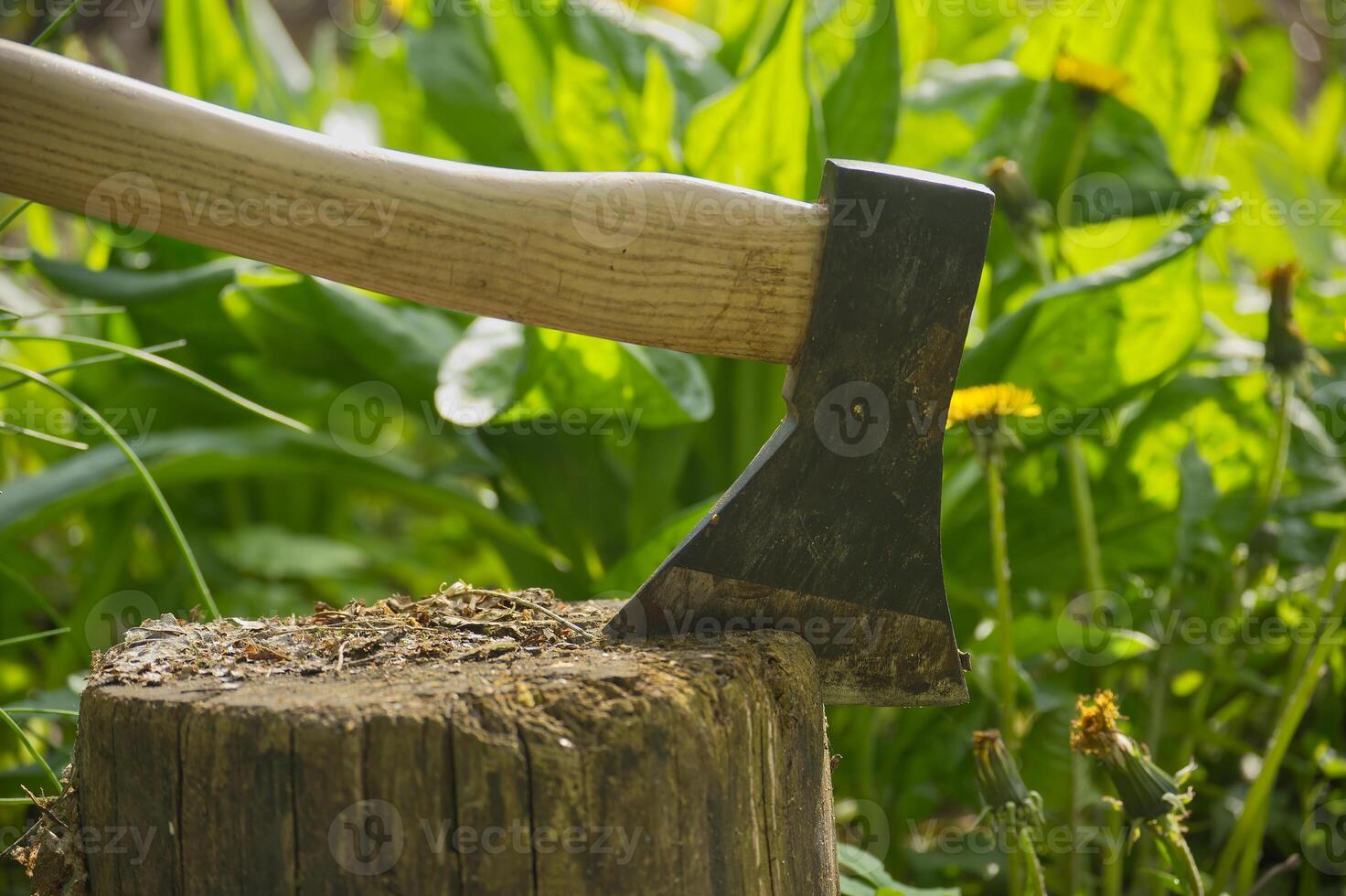 Close up of an axe blade embedded into the wood photo