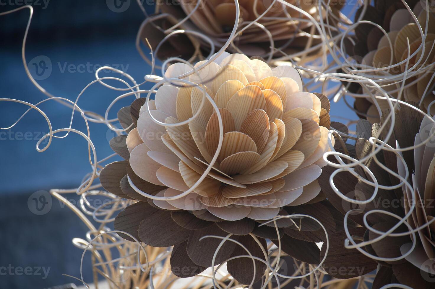Close-up view of intricate wooden flower arrangements with swirling tendrils against soft background photo