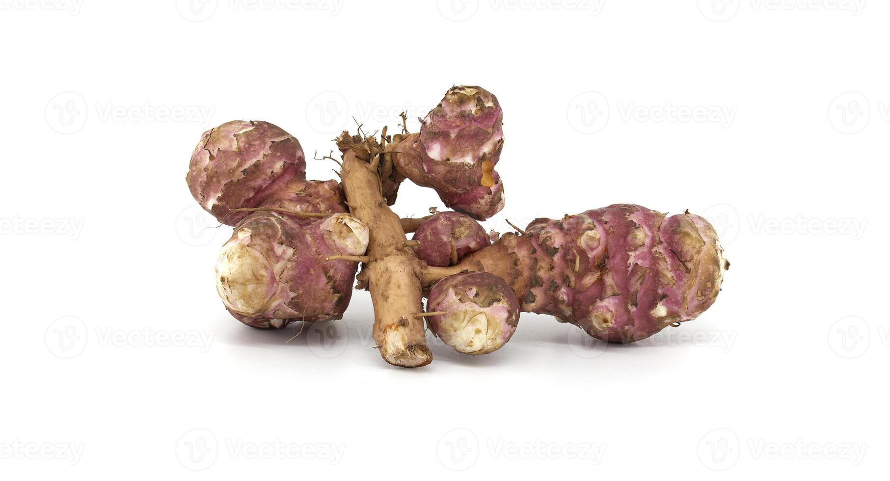 Fresh raw Jerusalem artichokes isolated against a white background photo