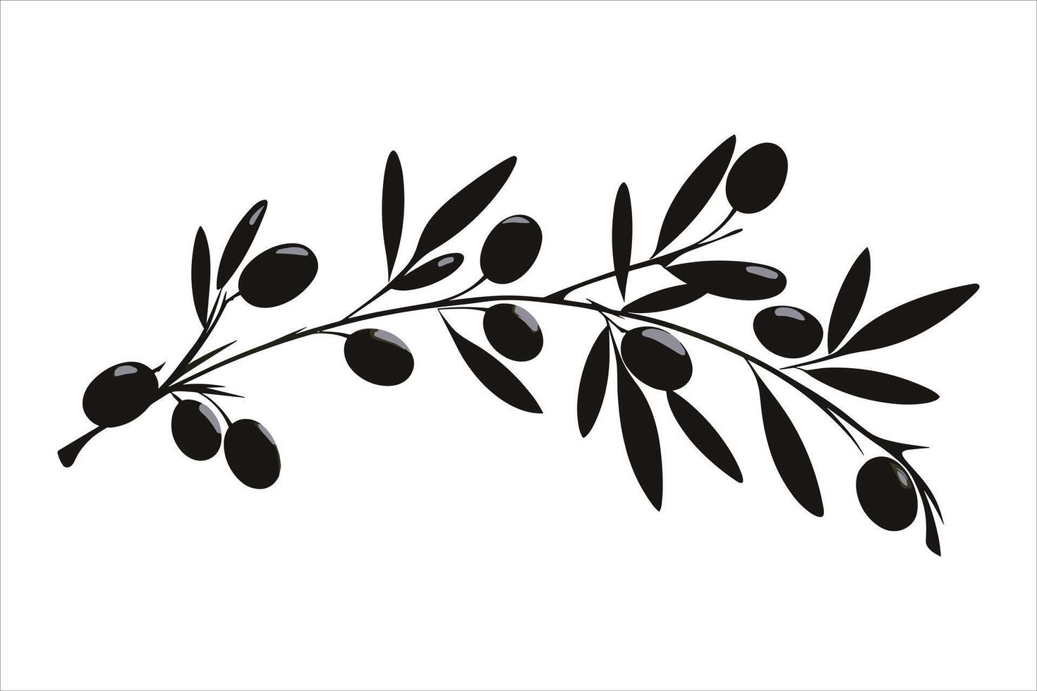 Olive branches with long leaves collection Set of black silhouettes leaves and tree branches vector