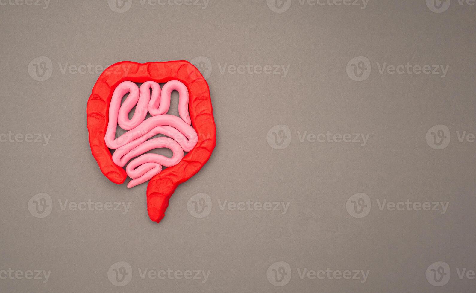A large intestine shape made from plasticine over a gray background photo