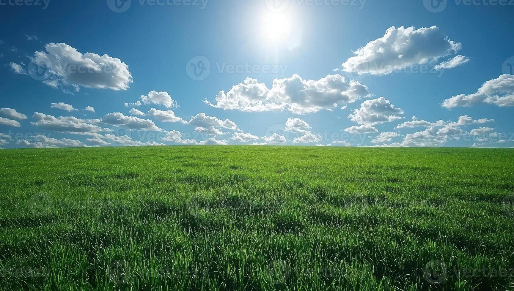Green Grass Field Under Sunny Blue Sky with Clouds. Concept of Nature, Spring, Summer, Environment, and Freedom photo