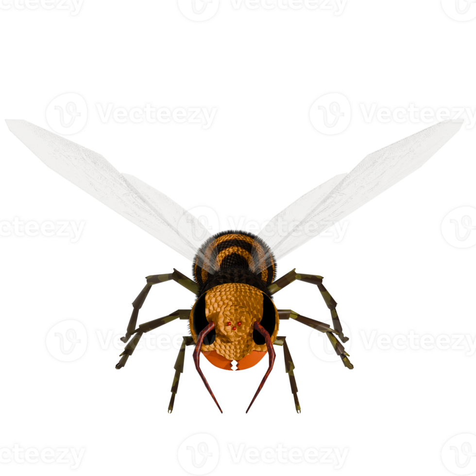 A large insect with a yellow and black body png