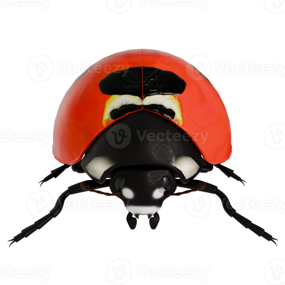 A ladybug with a black face and red body png