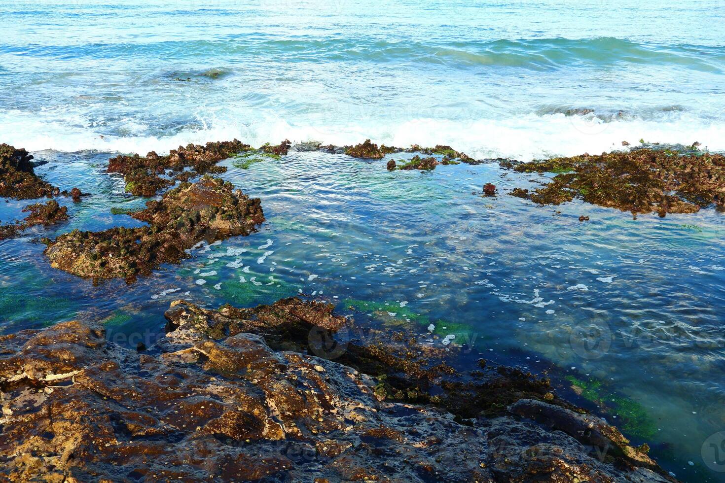 Clear Blue Water Flowing Over Rocky Shoreline With Seaweed And Moss At The Edge Of The Ocean photo