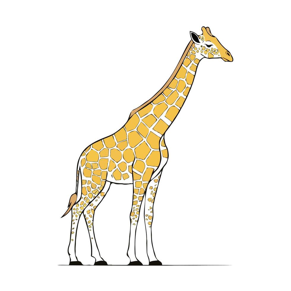 A giraffe on a white background vector