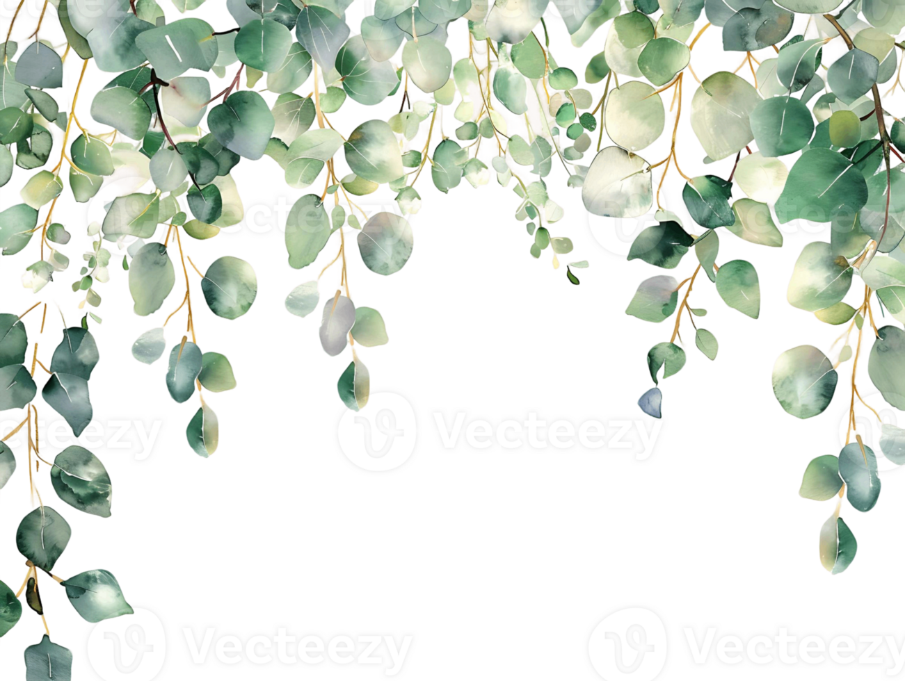 Eucalyptus Watercolor Frame on Clear Background png