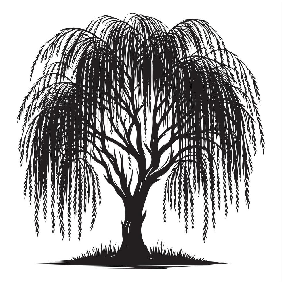 willow silhouette tree style of art vector