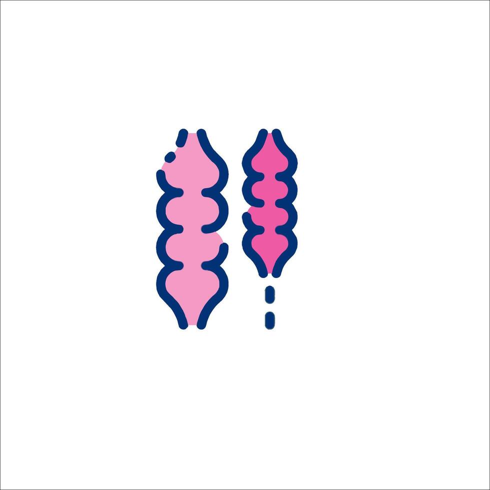 A pink and blue line icon of two pink and blue flowers vector