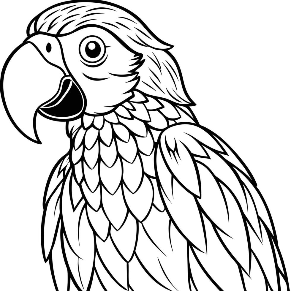 A parrot coloring page vector