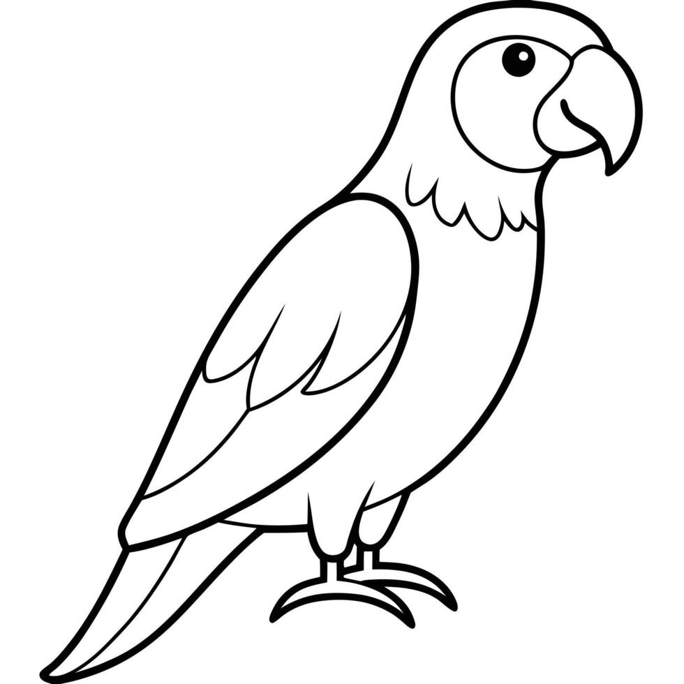 A parrot coloring page for kids vector