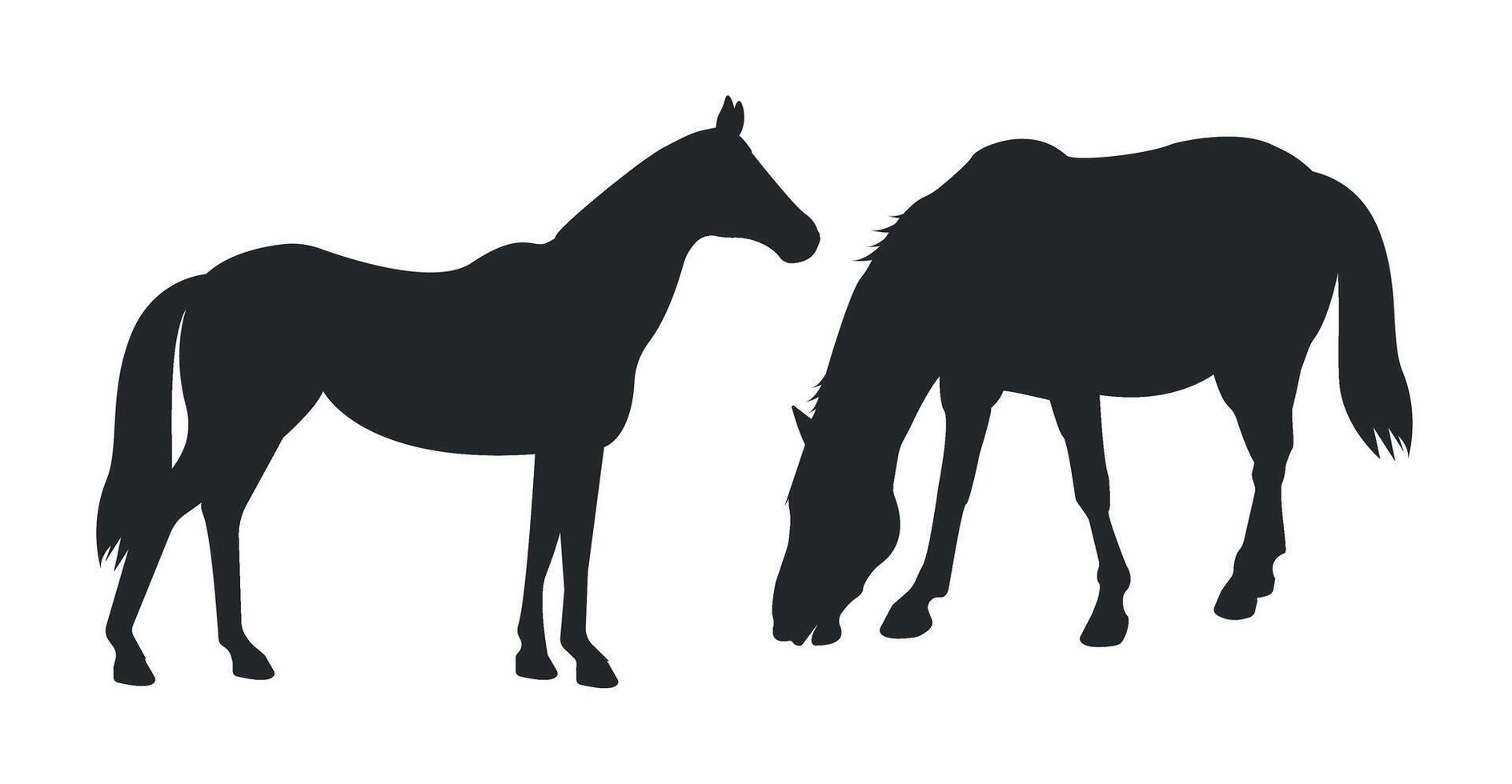 Silhouettes of two horses on a white background. vector