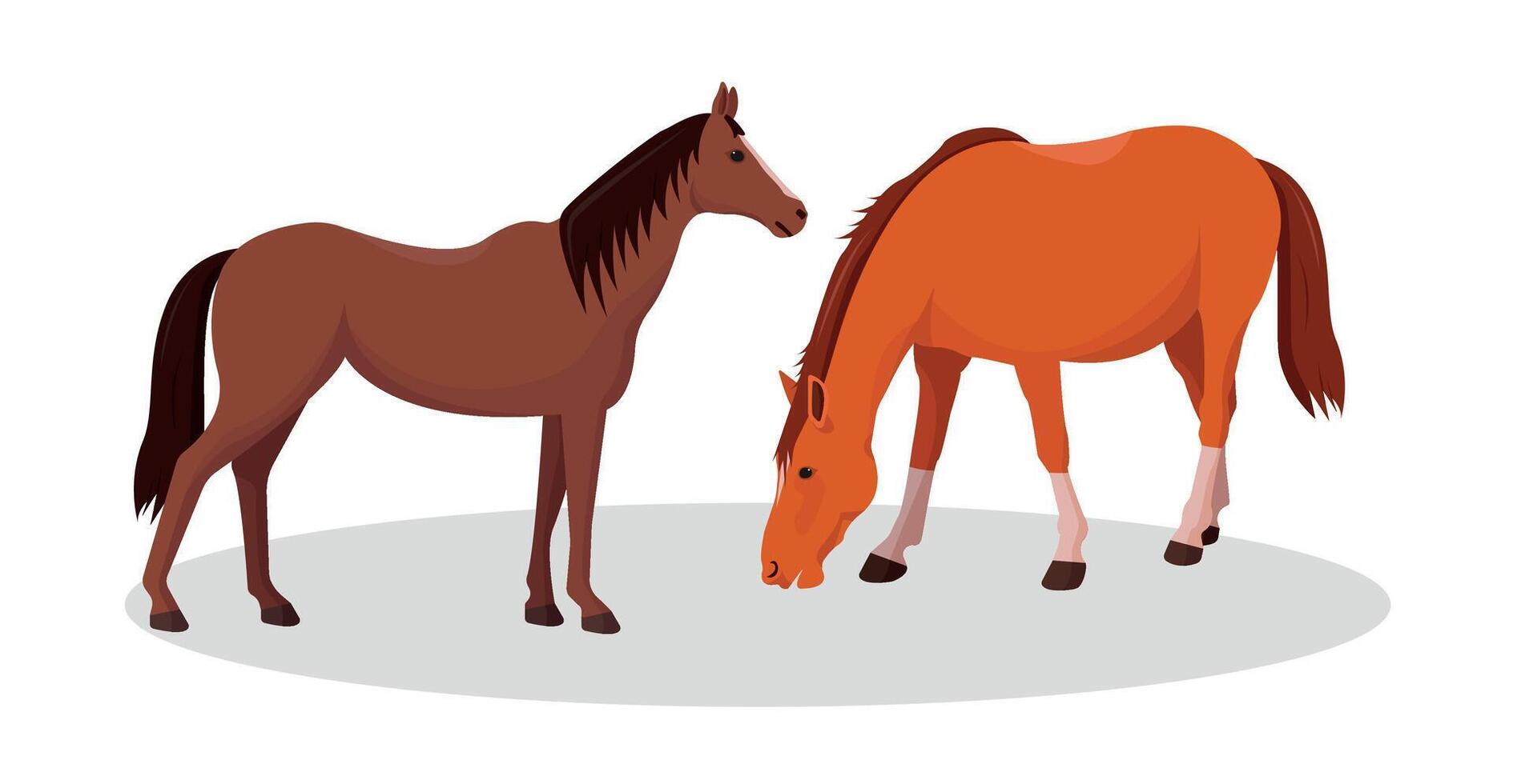 Horses icon set. Farming and animal husbandry concept. vector