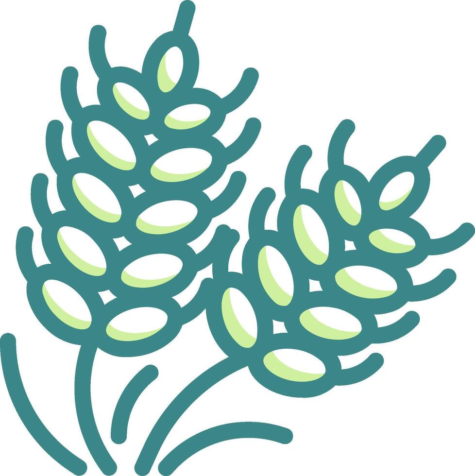 A wheat plant with green leaves vector