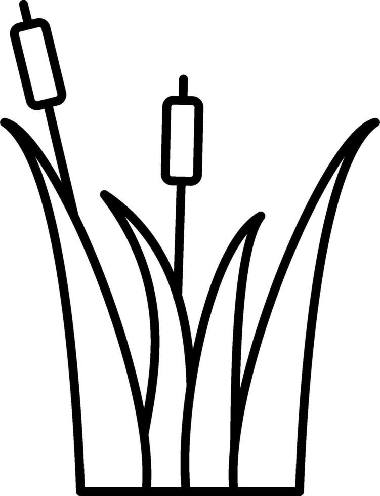 A black and white drawing of a plant with two cattails vector