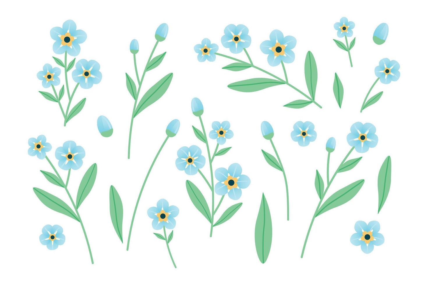 Forget me not flower set. Collection of plant elements for design. Delicate blue flowers. illustration. vector