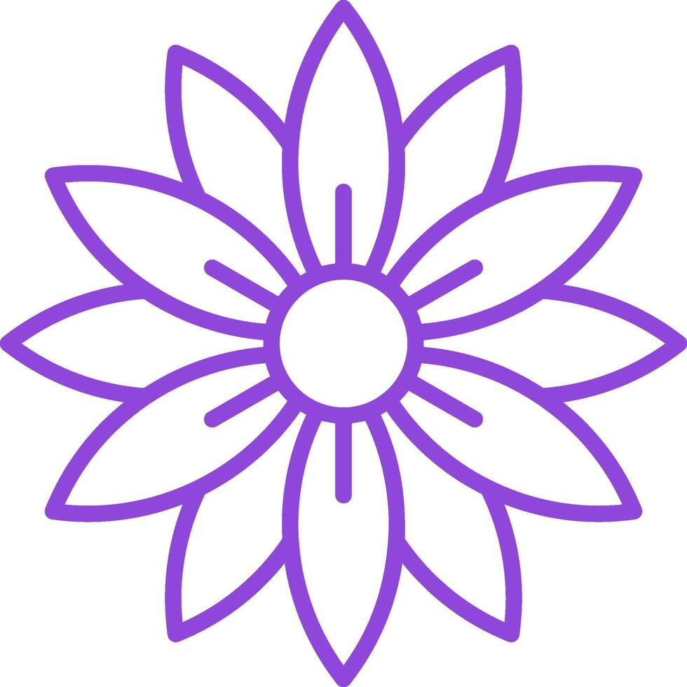Aster Line Multi Colors Icon vector