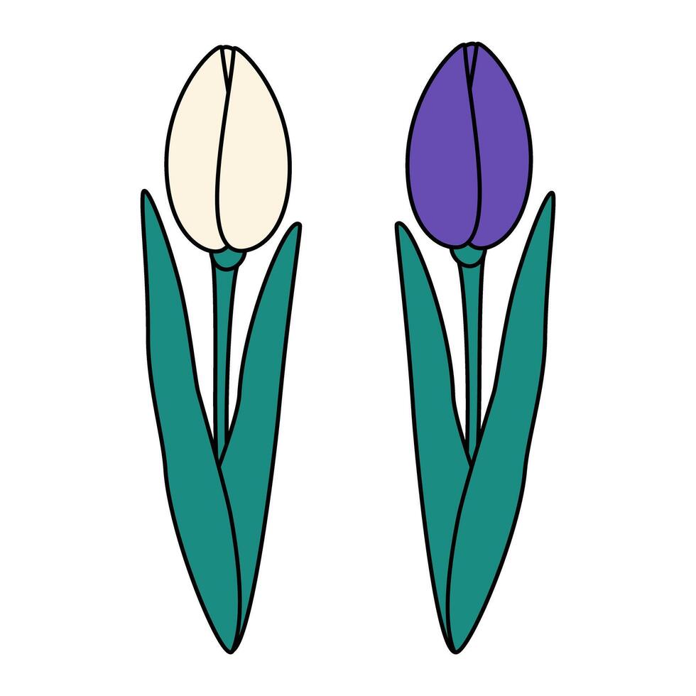 Set of 2 abstract tulips flower in trendy bright shades. Design concept for greetings or cards. Icon. Sticker. Isolate. EPS. for poster, banner, brochures, billboards, price tag, label or web vector