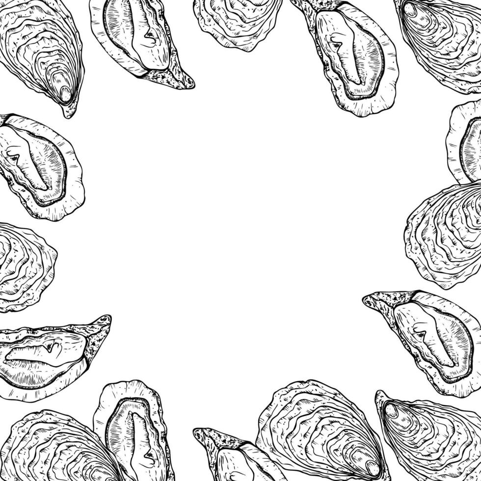frame with Oysters and scallop. Hand painted line template, seashells. Graphic clip art isolated on background. Underwater illustration. For designers, invitations, decoration, postcards vector