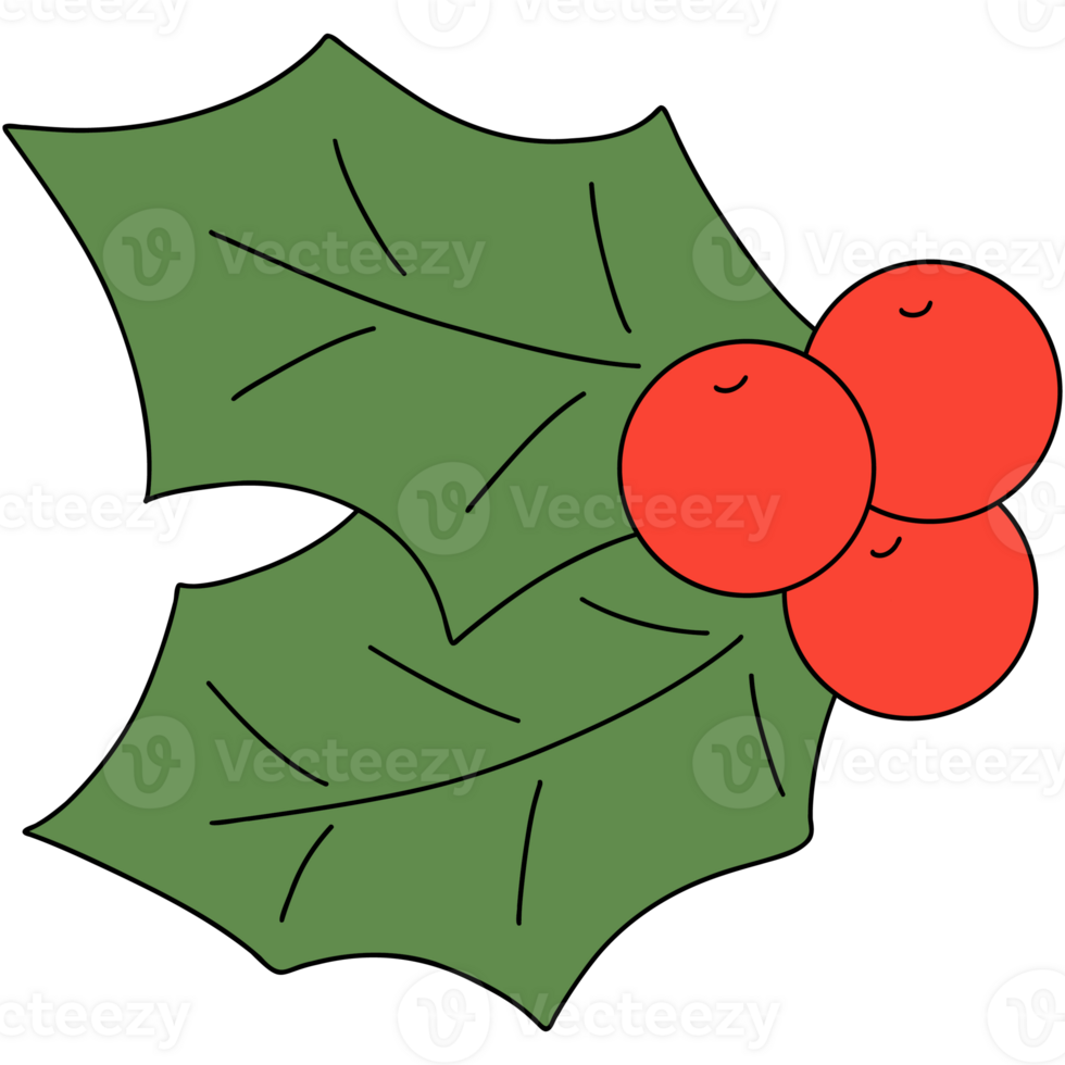 Mistletoe holly Christmas png