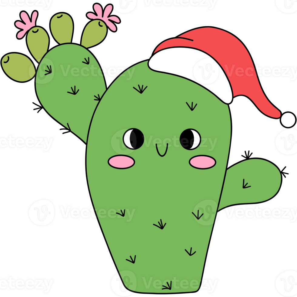 Christmas Cactus santa hat png
