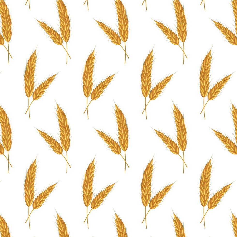 Seamless pattern cereal wheat, oat and barley ears spikelets. For design beer, bread, flour packaging. Symbols for healthy natural farming food, whole organic spikelets elements on white vector