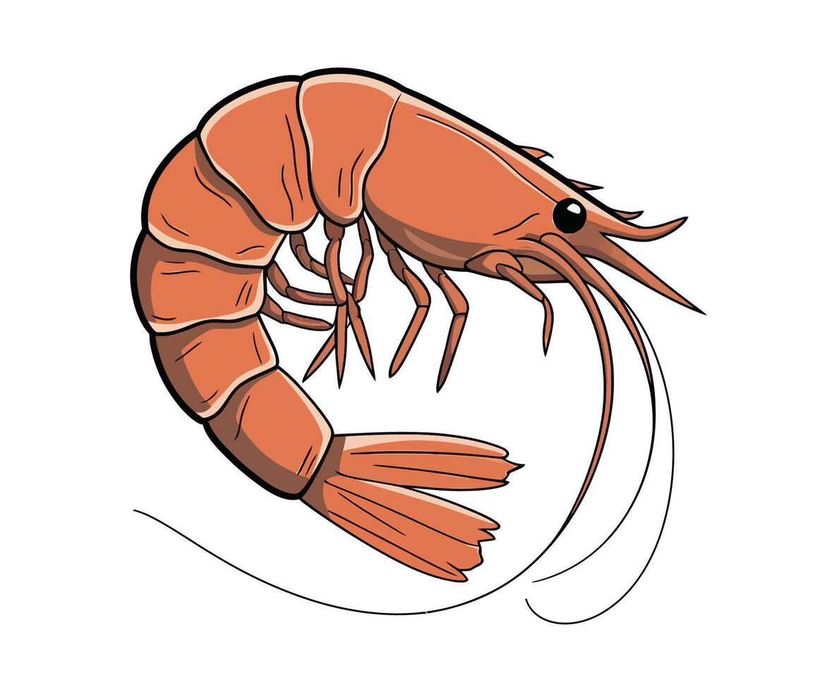 Artistic Shrimp Shape Silhouette EPS Template Illustration vector