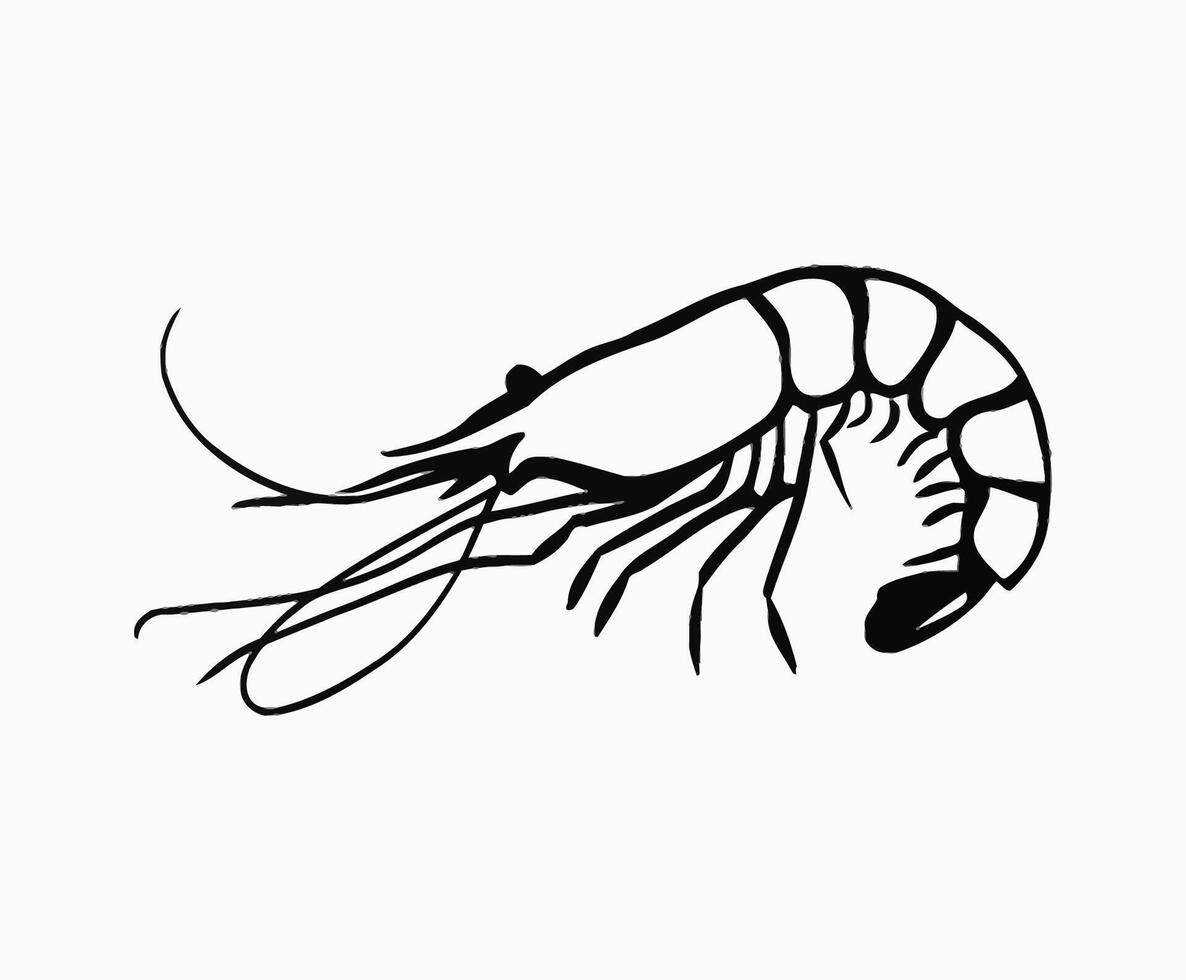 Minimalist Shrimp Outline Silhouette Template vector