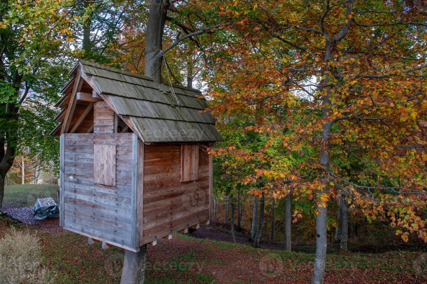 Wooden house built on tree photo