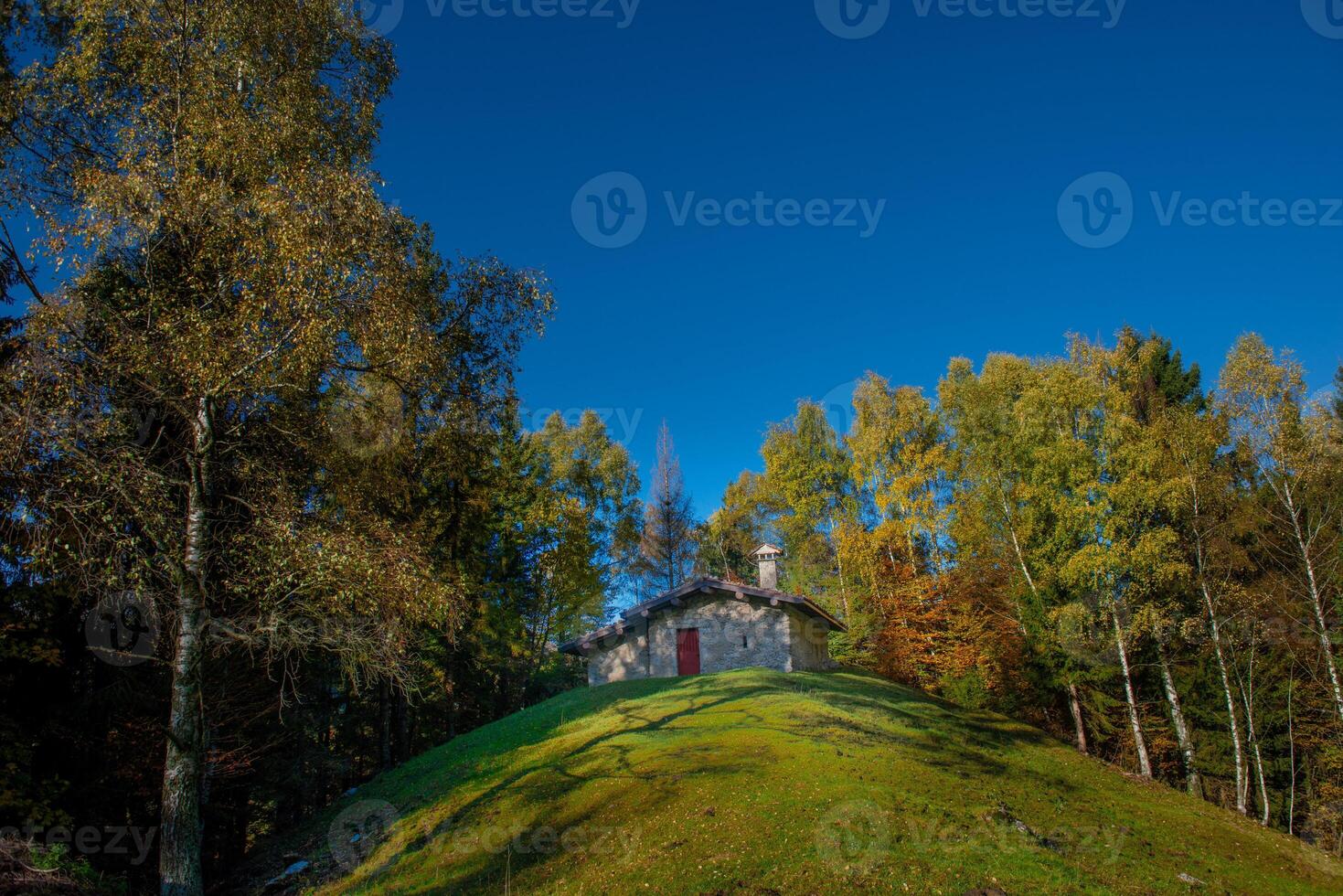 Rustic in the middle of the woods in autumn photo