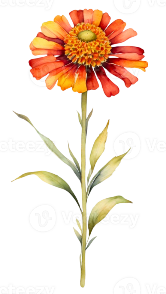 Beautiful simple flower clip art transparent background png