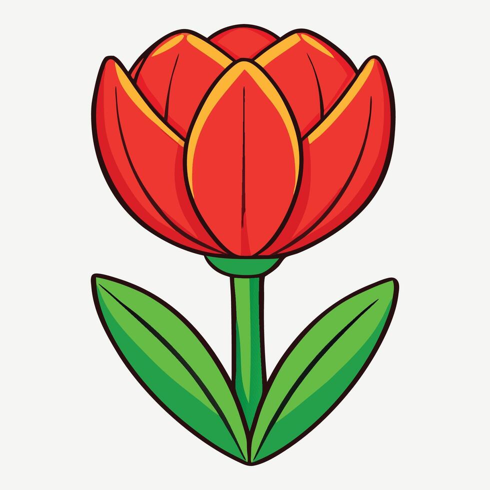 Vibrant Red Tulip A Symbol of Spring vector