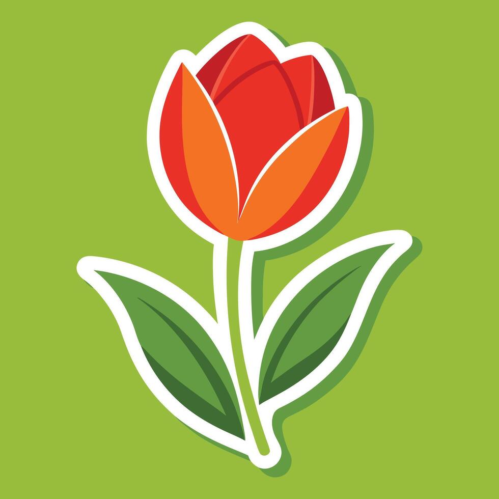 Elegant Tulip Blossom vector