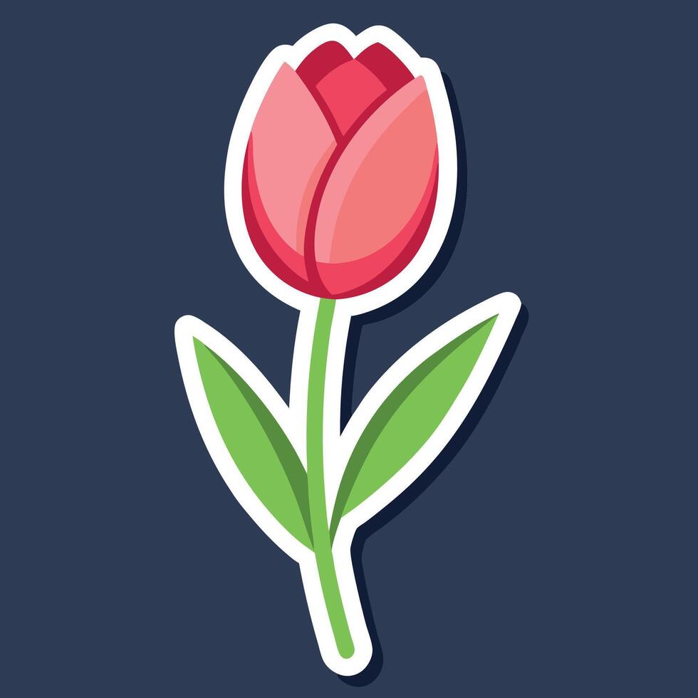 Colorful Tulip Delight vector