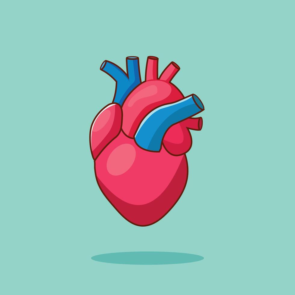 Human Heart Organ Cartoon Icon Illustration. Education Object Icon Concept Isolated Premium . Flat Cartoon Style vector