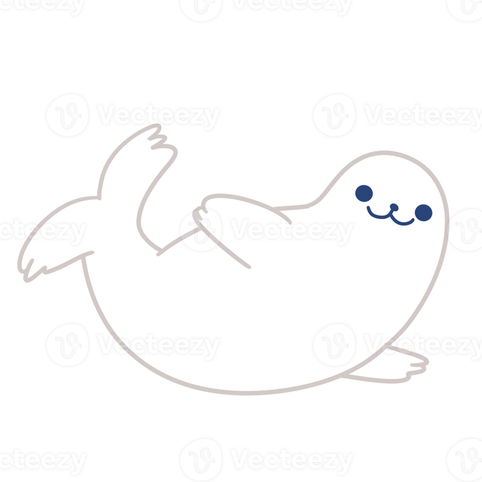seal sea animal png
