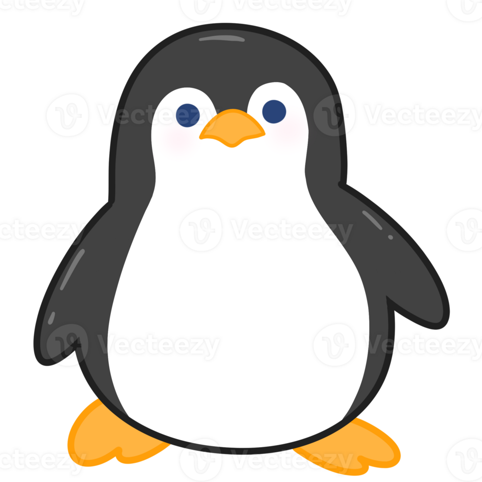 penguin sea animal png