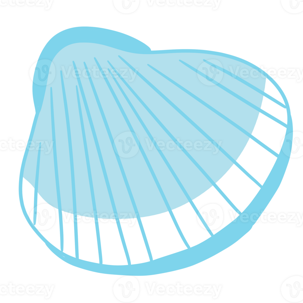 seashell sea animal png