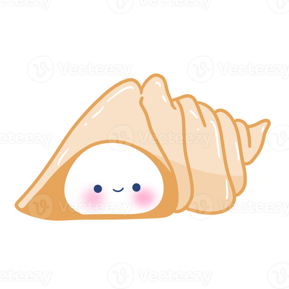 shell sea animal png