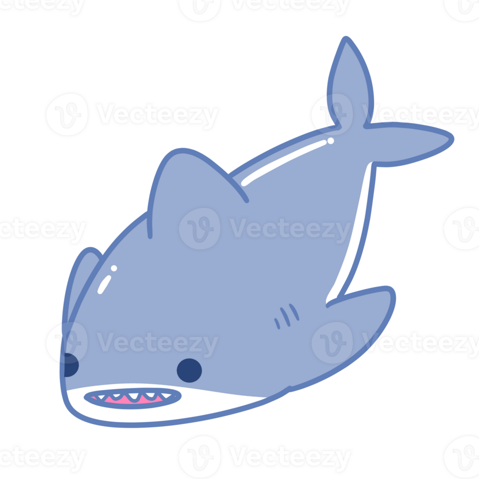 shark sea animal png