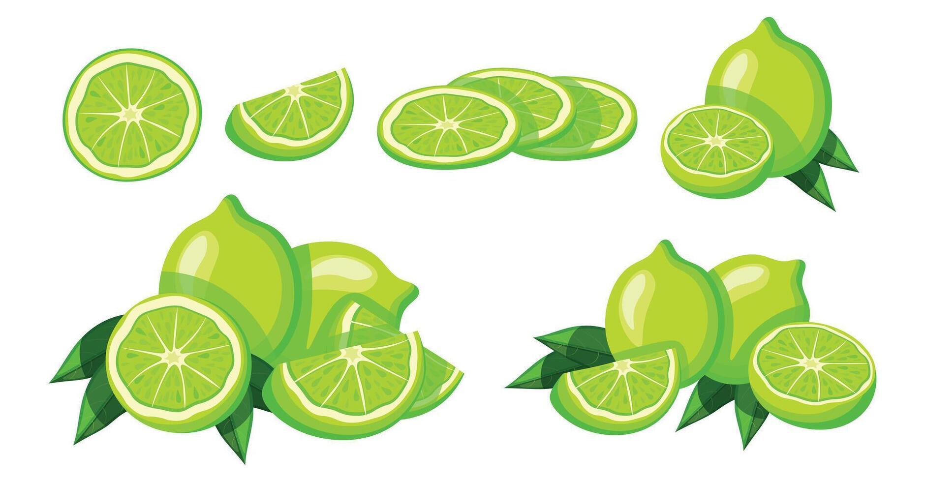 Set of green limes in cartoon style. Flat illustration of delicious, fresh and juicy whole and half limes cut into pieces with green leaves isolated on white background. vector