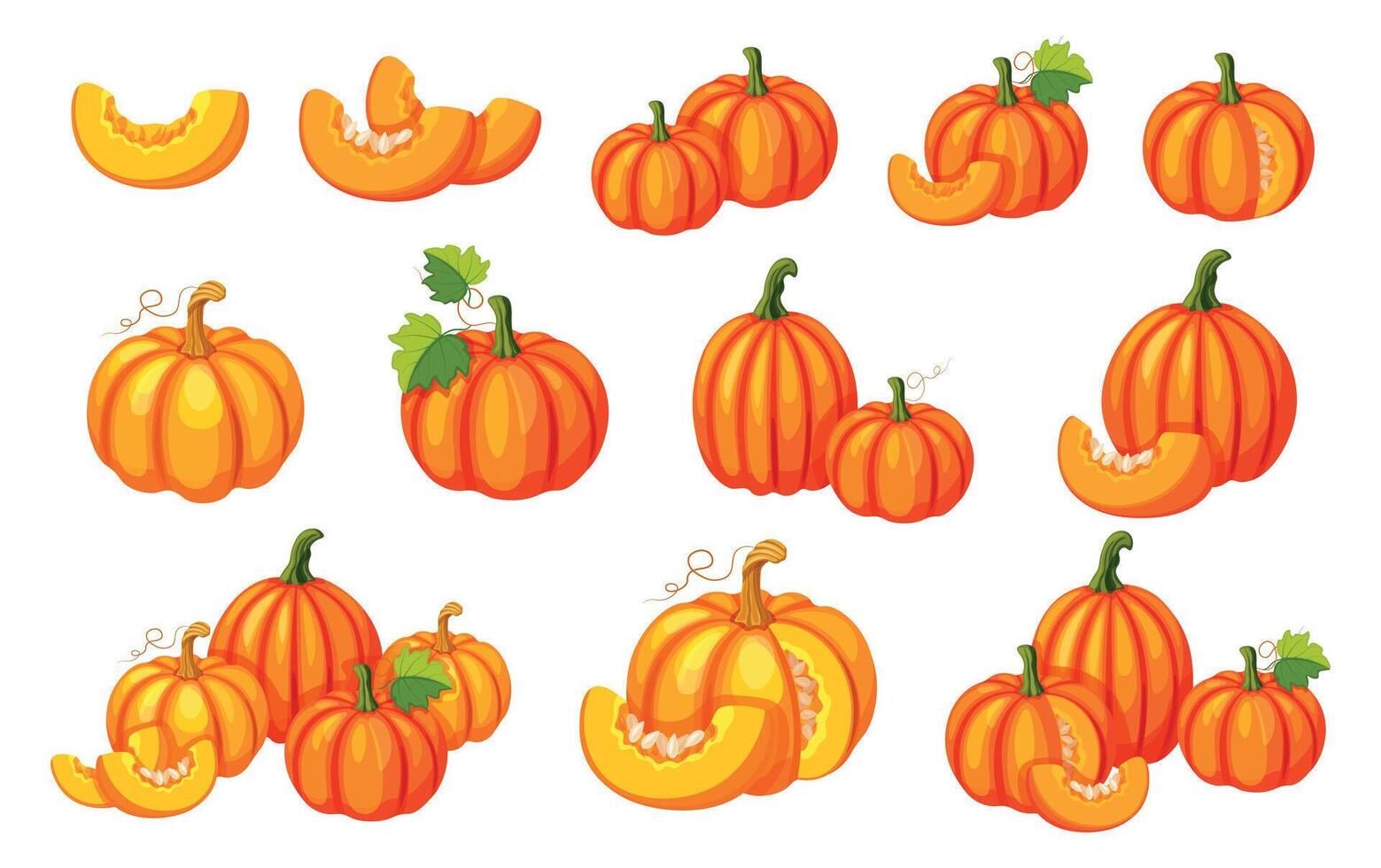 Set of fresh pumpkins in cartoon style. Flat illustration of yellow and orange pumpkins of different sizes and shapes, with seeds, halves, whole, in section, with tendrils, stems and leaves. Harvest. vector