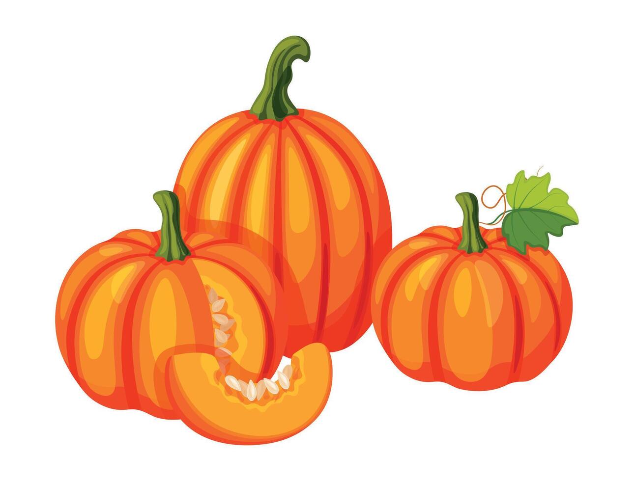 Group of autumn pumpkins in cartoon style. Flat illustration of yellow and orange whole pumpkin with seeds, pieces, in section, with tendrils, green leaves isolated on white background. vector