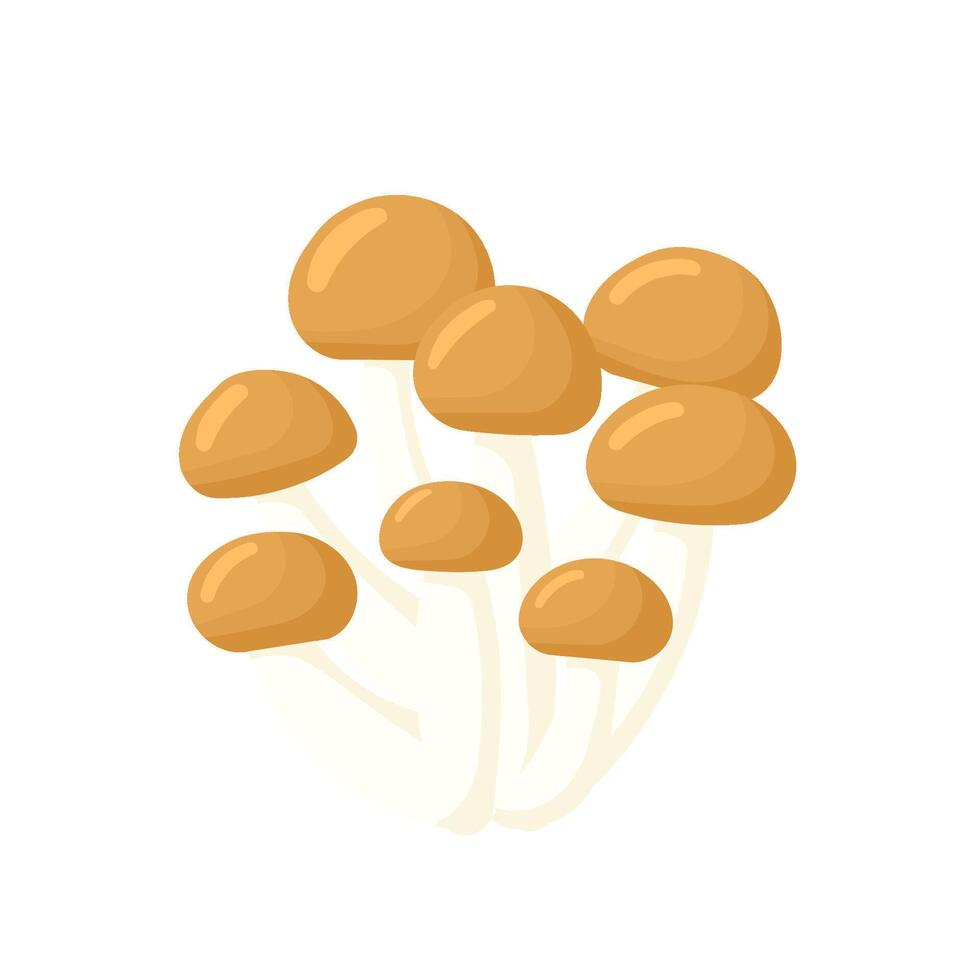 Honey agarics mushrooms flat. Mushroom - armillaria isolated without background. illustration vector